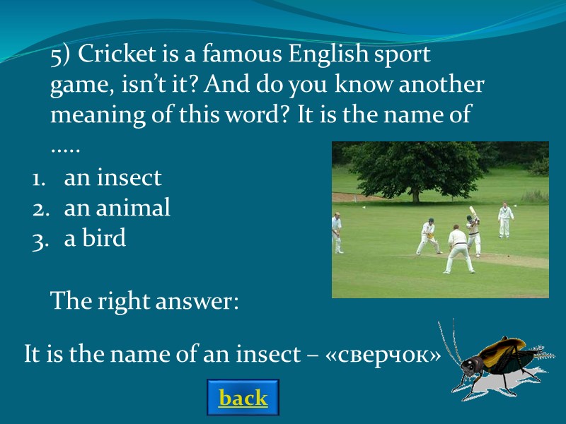 The right answer: an insect an animal a bird It is the name of